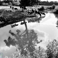 Cod Beck, Thirsk